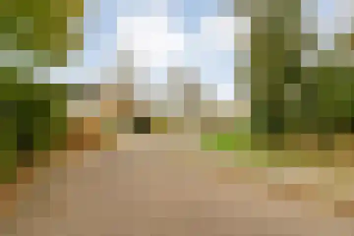 Wijhezicht 42 Wijhe thumbnail 39