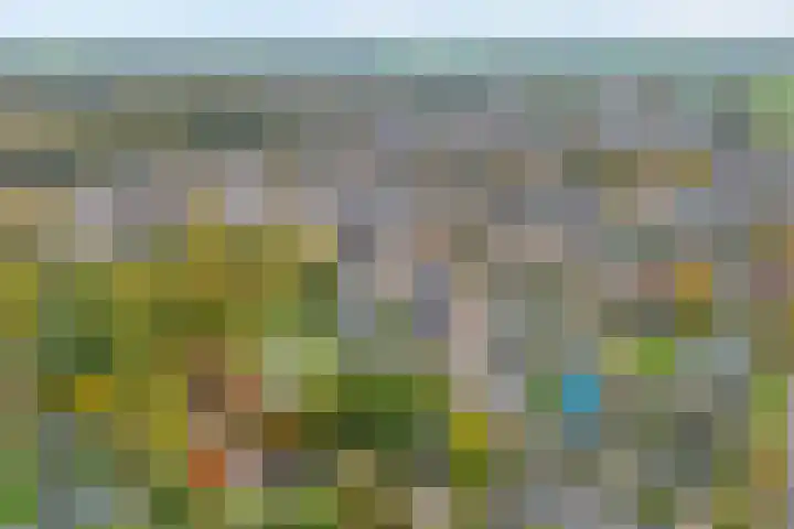 Wijhezicht 42 Wijhe thumbnail 4