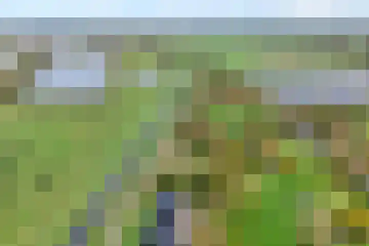 Wijhezicht 42 Wijhe thumbnail 5