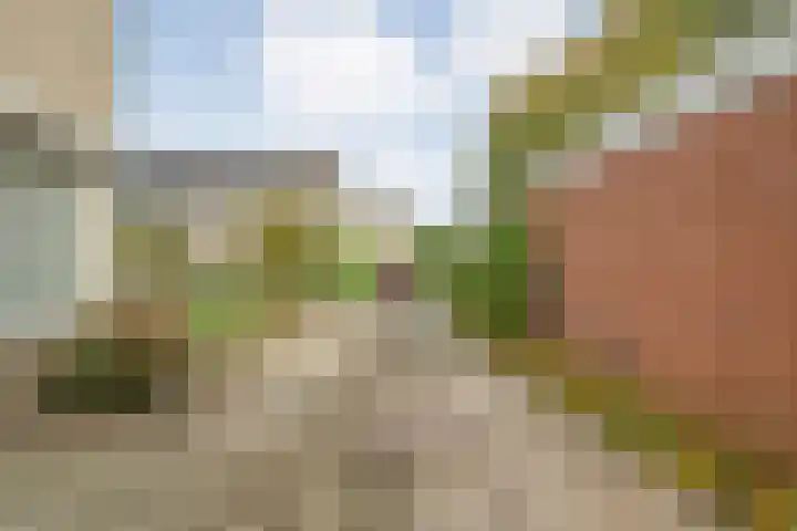 Wijhezicht 42 Wijhe thumbnail 8