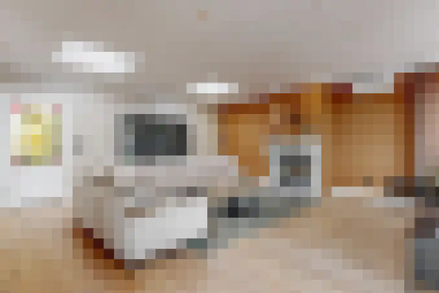 Wijk 2 2 15-C Urk thumbnail 11