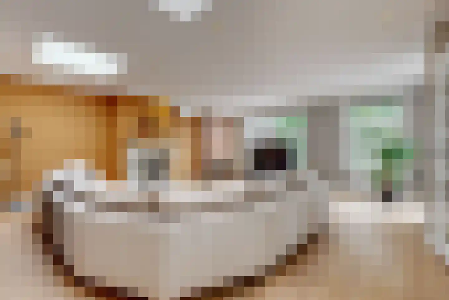 Wijk 2 2 15-C Urk thumbnail 13