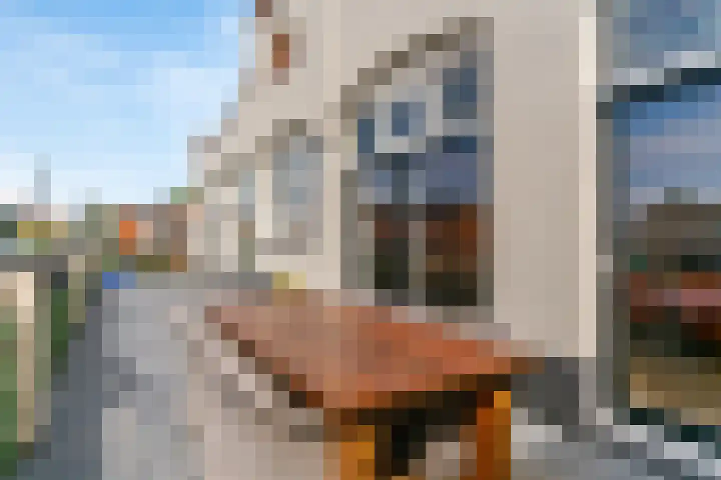 Wijk 2 2 15-C Urk thumbnail 40