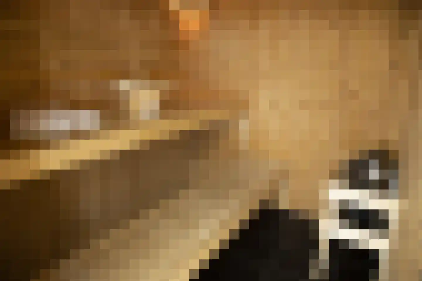 Wijk 6 6 Urk thumbnail 4