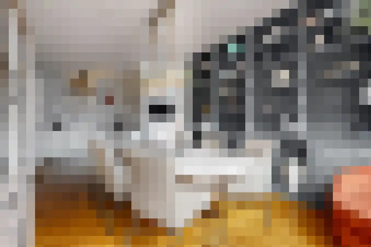 Wijk 7 29 Urk thumbnail 14