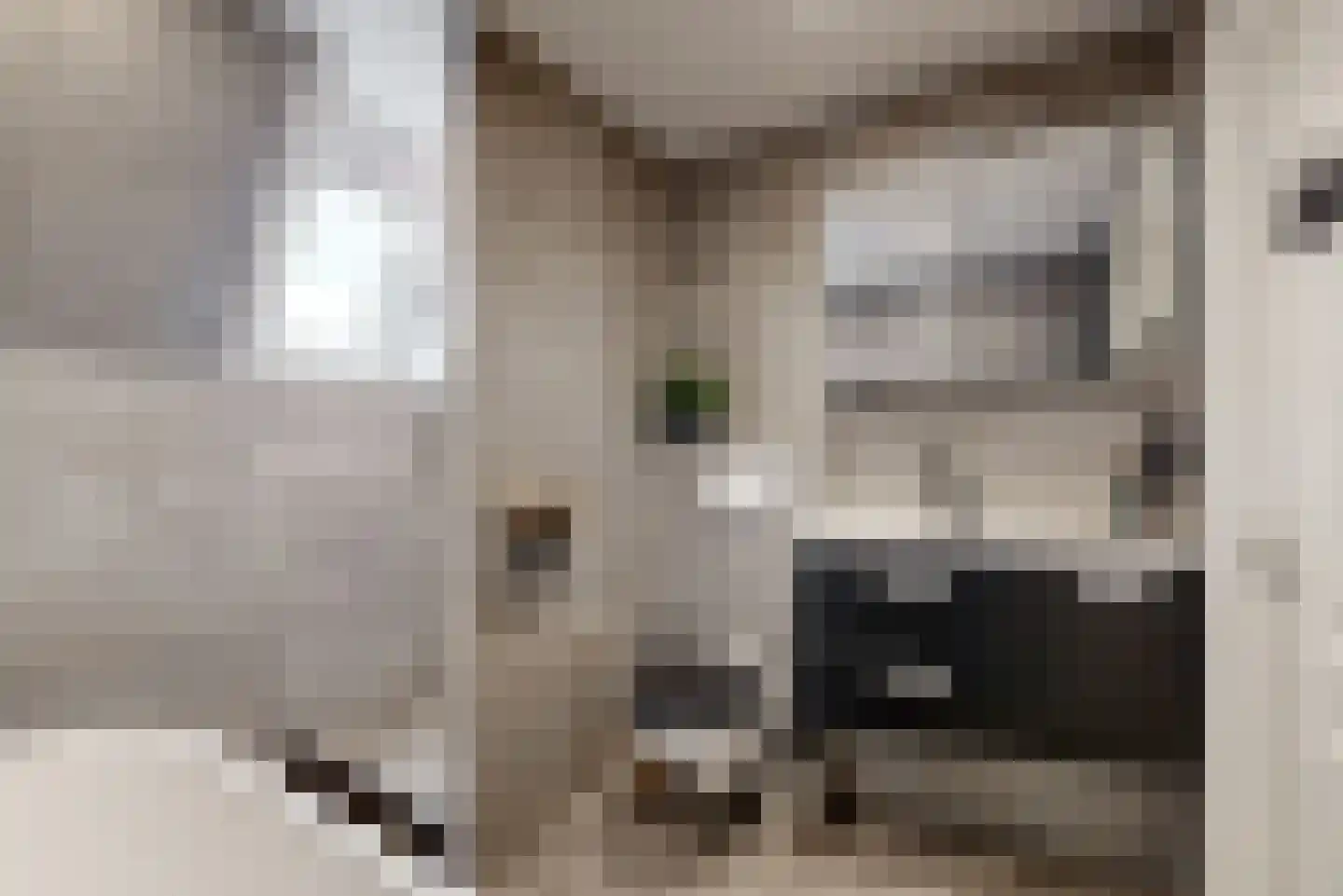 Wijk 7 29 Urk thumbnail 37