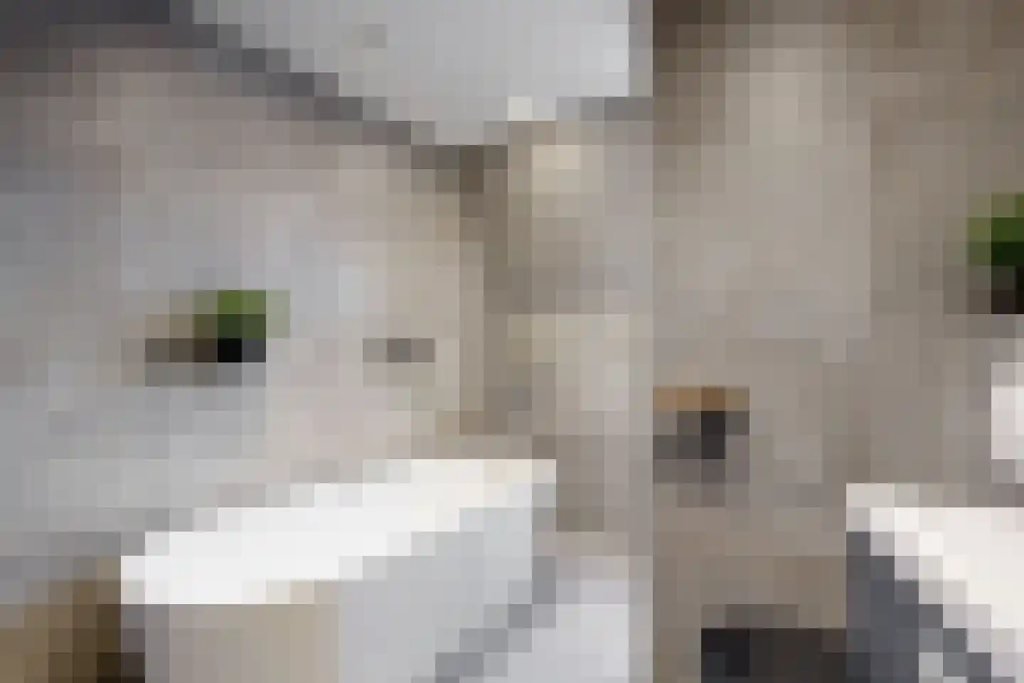 Wijk 7 29 Urk thumbnail 38