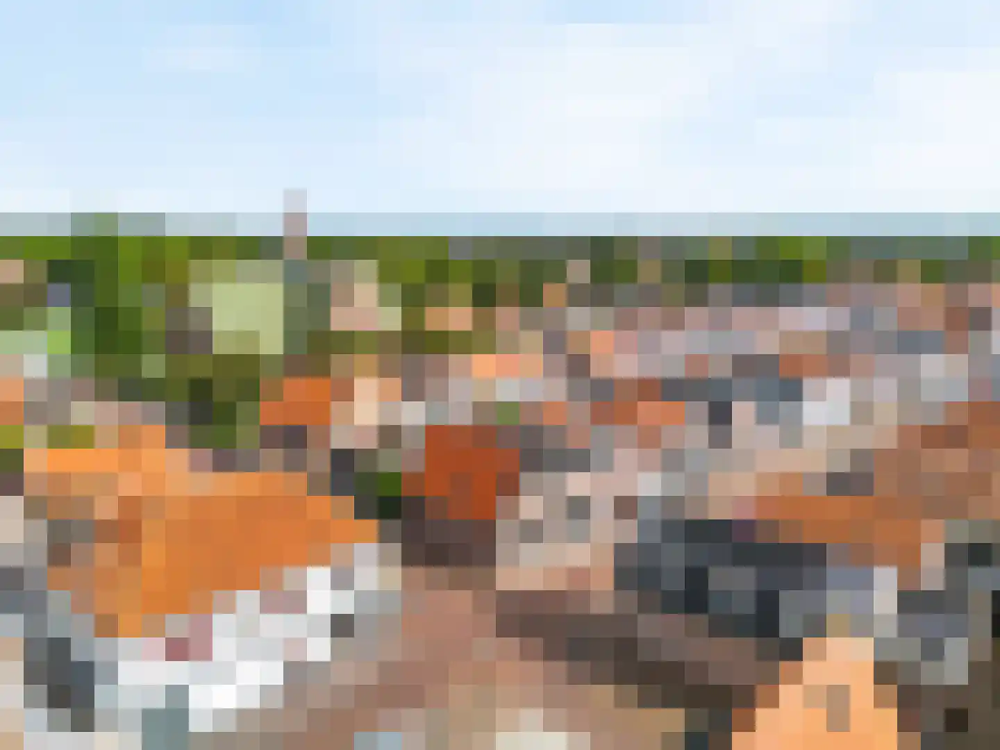 Wijk 7 29 Urk thumbnail 50