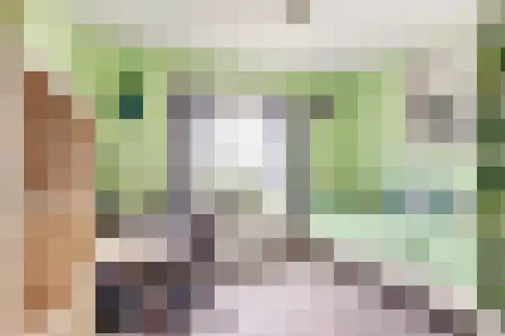 Wijk aan Duinerweg 139 Beverwijk thumbnail 13