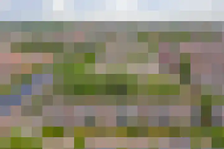 Wijk aan Duinerweg 139 Beverwijk thumbnail 17