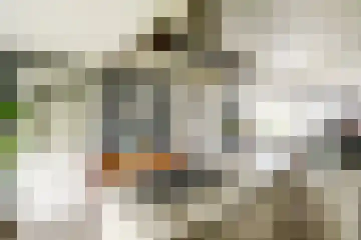 Wijk aan Duinerweg 139 Beverwijk thumbnail 5