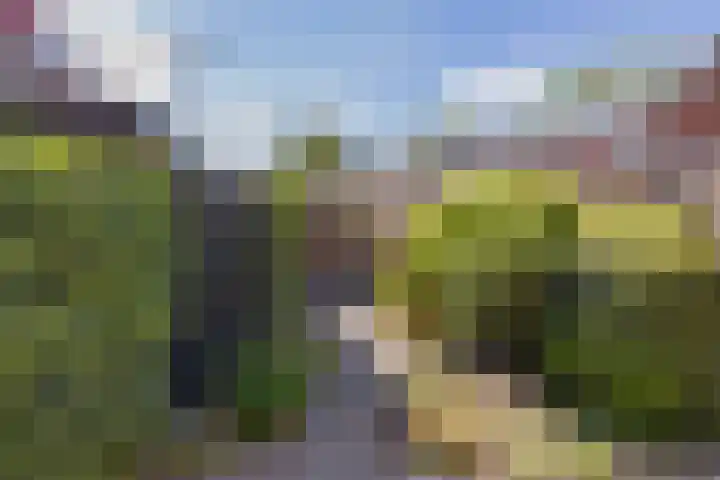 Wijk aan Duinerweg 7 Beverwijk thumbnail 16