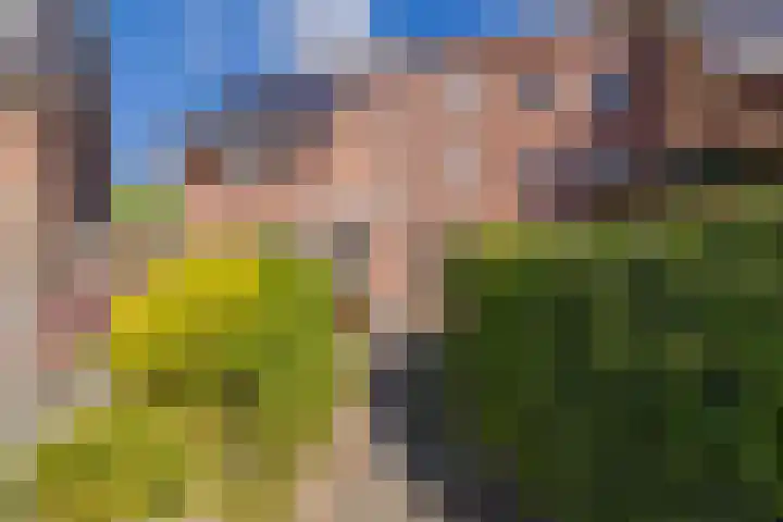 Wijk aan Duinerweg 7 Beverwijk thumbnail 17
