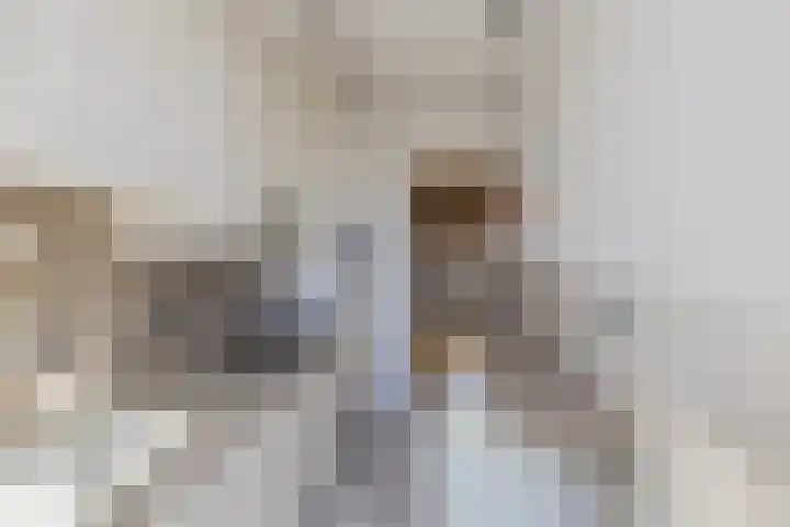 Wijk aan Duinerweg 7 Beverwijk thumbnail 20
