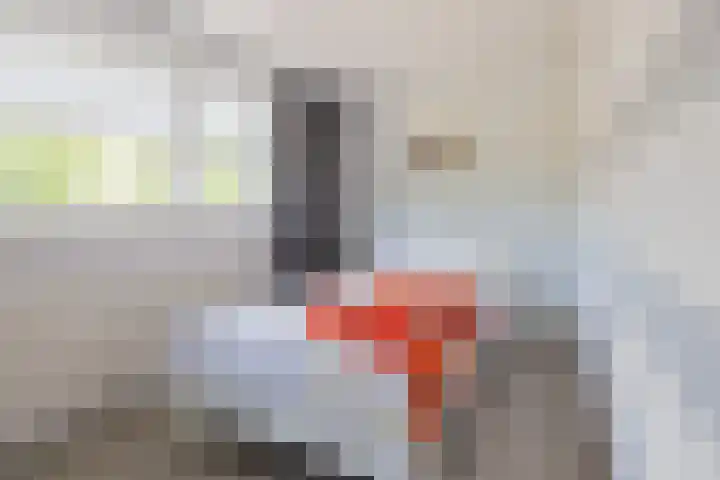 Wijk aan Duinerweg 7 Beverwijk thumbnail 25