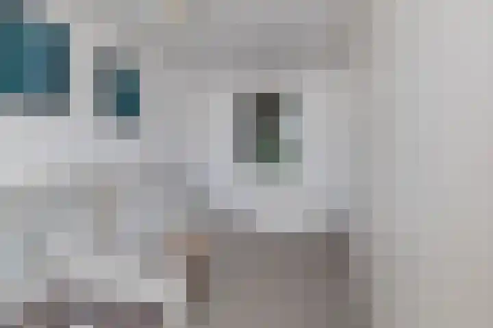 Wijk aan Duinerweg 7 Beverwijk thumbnail 37