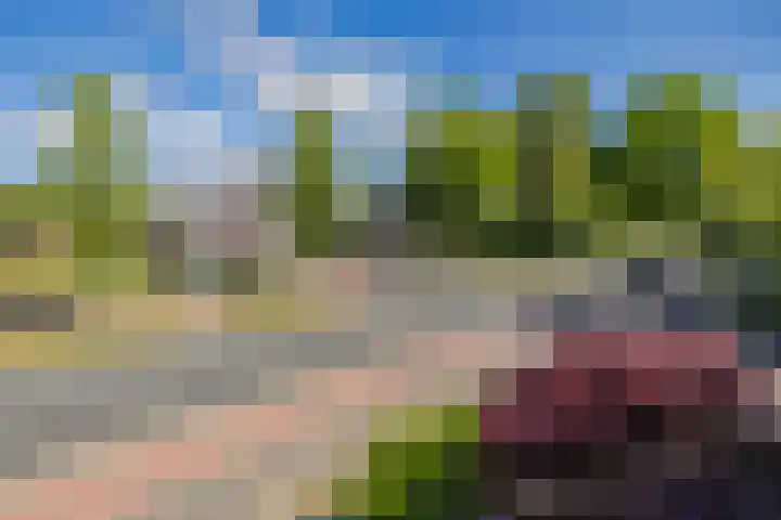 Wijk aan Duinerweg 7 Beverwijk thumbnail 39
