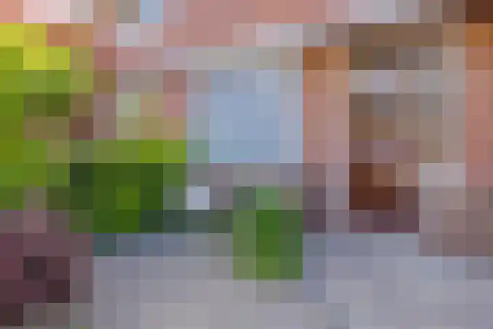 Wijk aan Duinerweg 7 Beverwijk thumbnail 4