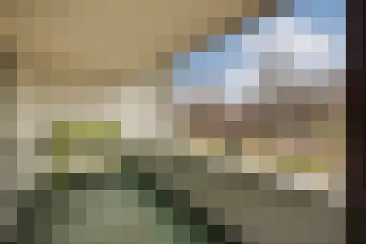 Wijk aan Duinerweg 70 Beverwijk thumbnail 11