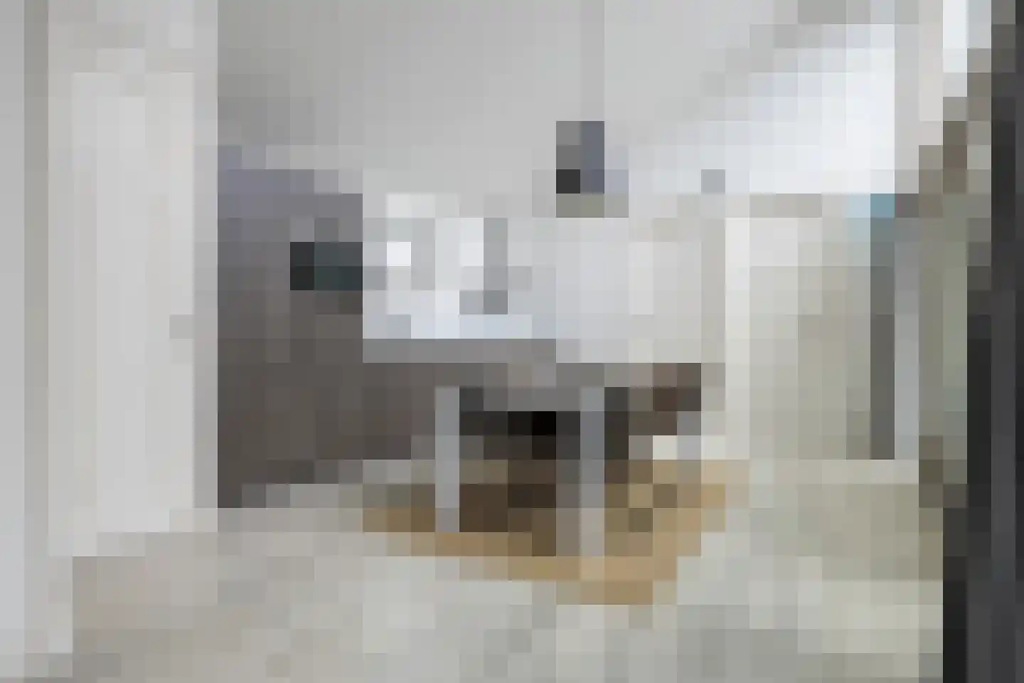 Wijk aan Duinpad 16 F Heemskerk thumbnail 13