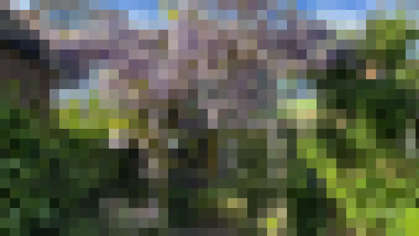 Wijk aan Zeeërweg 116 IJmuiden thumbnail 14