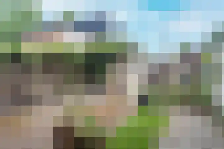 Wijk aan Zeeërweg 140 IJmuiden thumbnail 16
