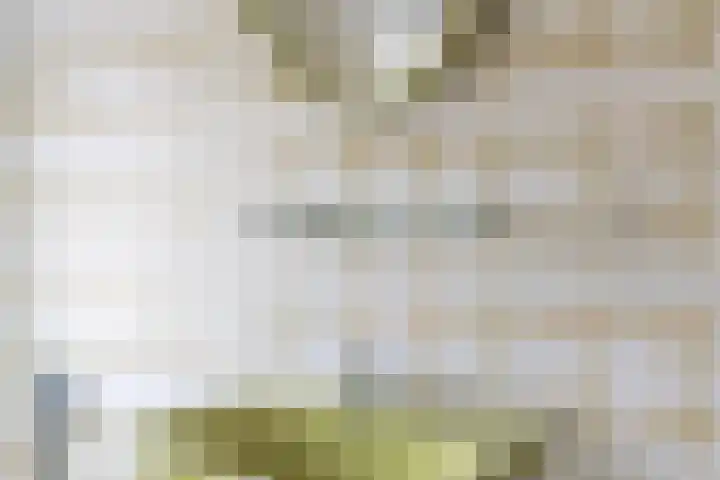 Wijk aan Zeeërweg 140 IJmuiden thumbnail 30