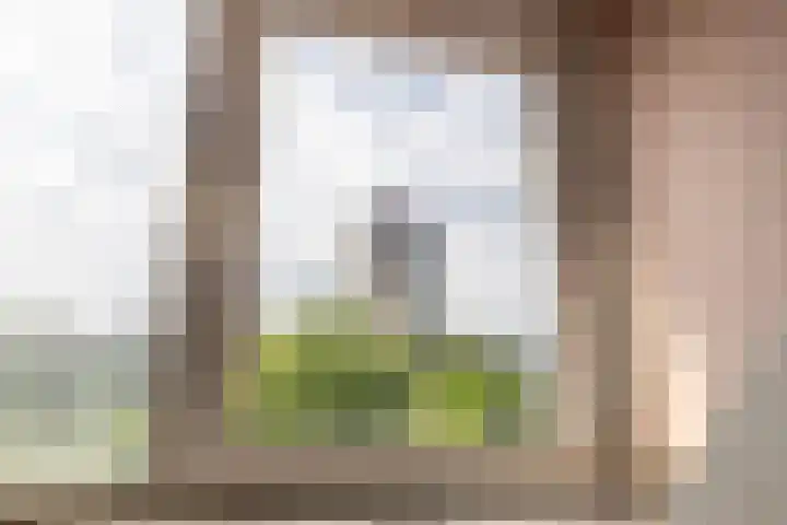 Wijk aan Zeeërweg 140 IJmuiden thumbnail 33