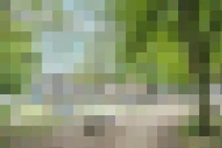 Wijk aan Zeeërweg 140 IJmuiden thumbnail 35
