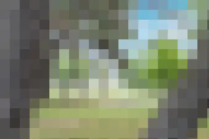 Wijk aan Zeeërweg 140 IJmuiden thumbnail 37