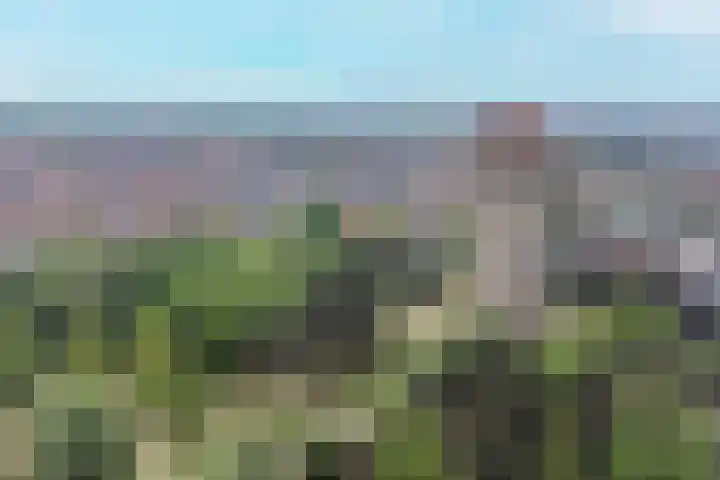 Wijk aan Zeeërweg 140 IJmuiden thumbnail 40