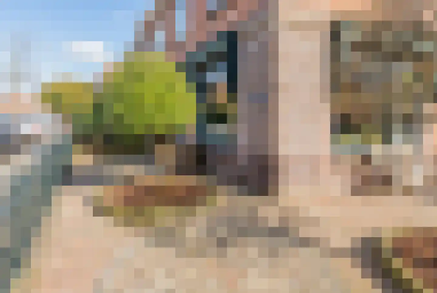 Wijk aan Zeeërweg 146 IJmuiden thumbnail 13