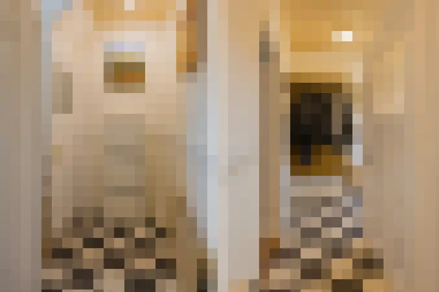 Wijk aan Zeeërweg 146 IJmuiden thumbnail 17