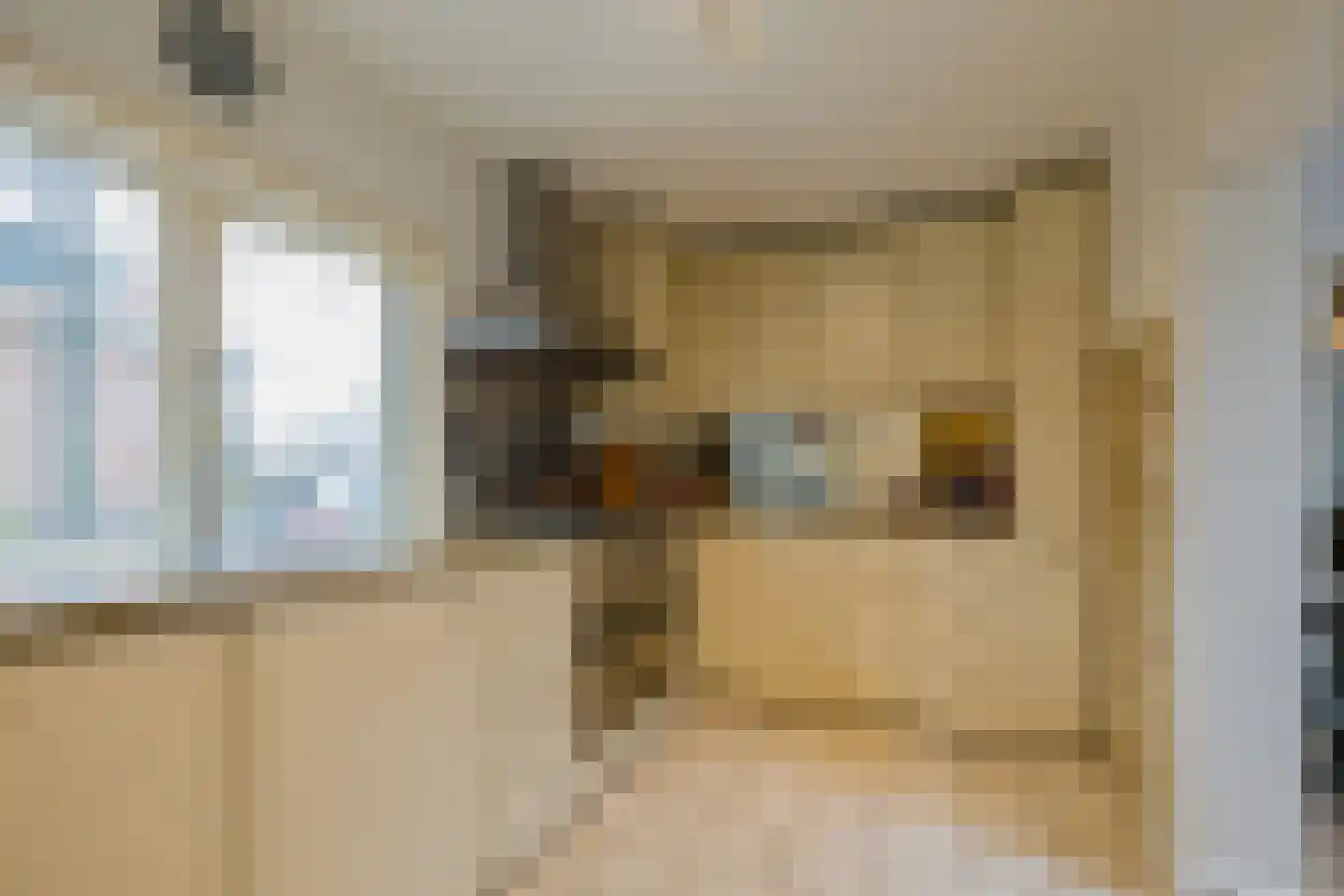 Wijk aan Zeeërweg 146 IJmuiden thumbnail 33
