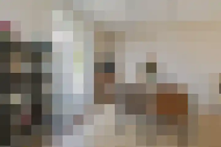 Wijk aan Zeeërweg 28 IJmuiden thumbnail 19