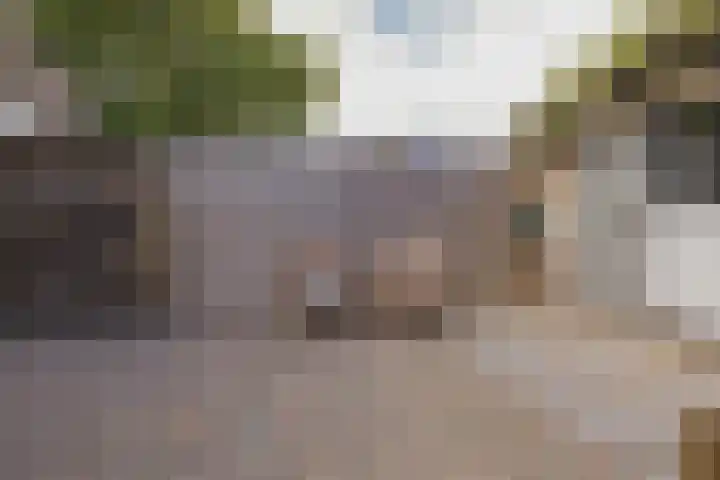 Wijk aan Zeeërweg 28 IJmuiden thumbnail 25