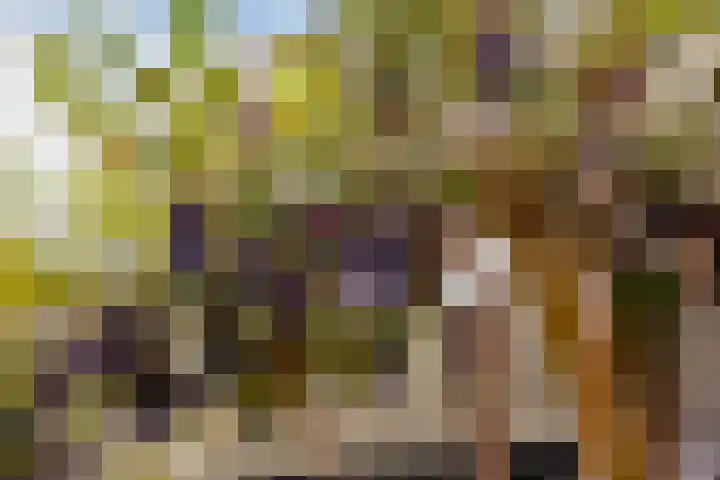 Wijk aan Zeeërweg 28 IJmuiden thumbnail 26