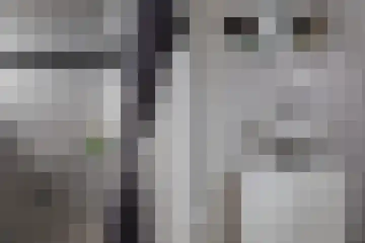 Wijk aan Zeeërweg 28 IJmuiden thumbnail 41