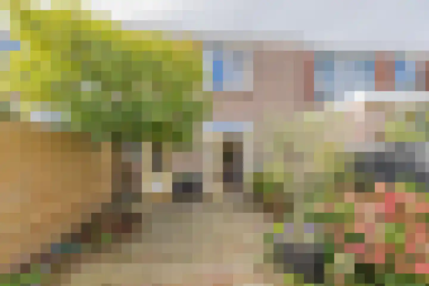 Wijk aan Zeeërweg 30 IJmuiden thumbnail 4