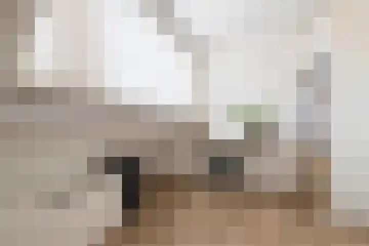Wijk aan Zeeërweg 38 IJmuiden thumbnail 24
