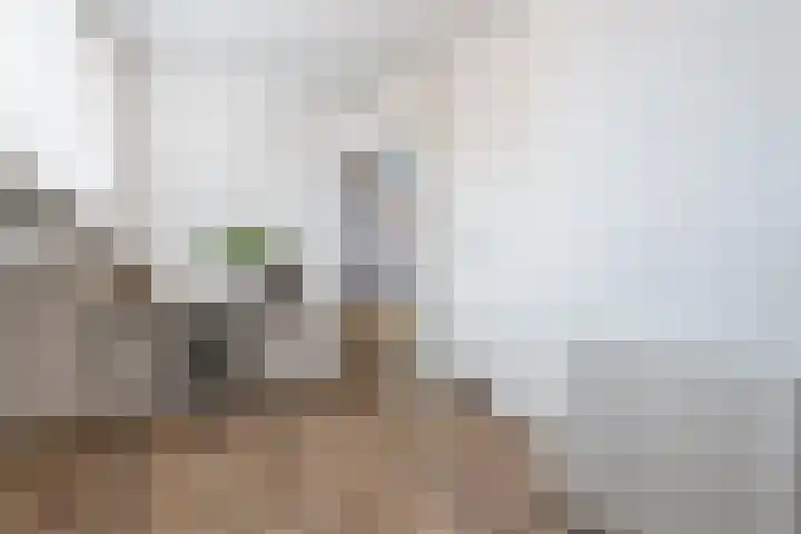 Wijk aan Zeeërweg 38 IJmuiden thumbnail 25