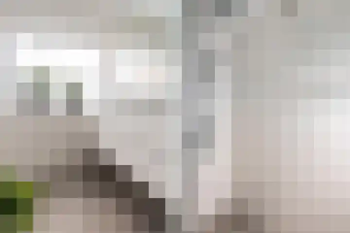 Wijk aan Zeeërweg 38 IJmuiden thumbnail 32