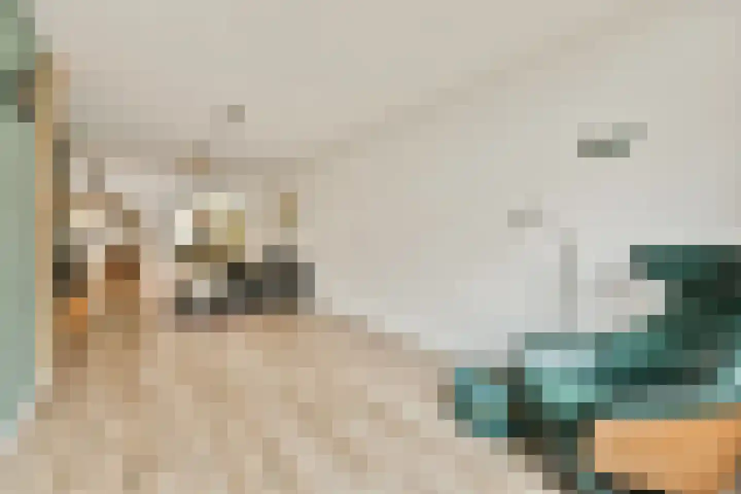 Wijk aan Zeeërweg 45 IJmuiden thumbnail 10