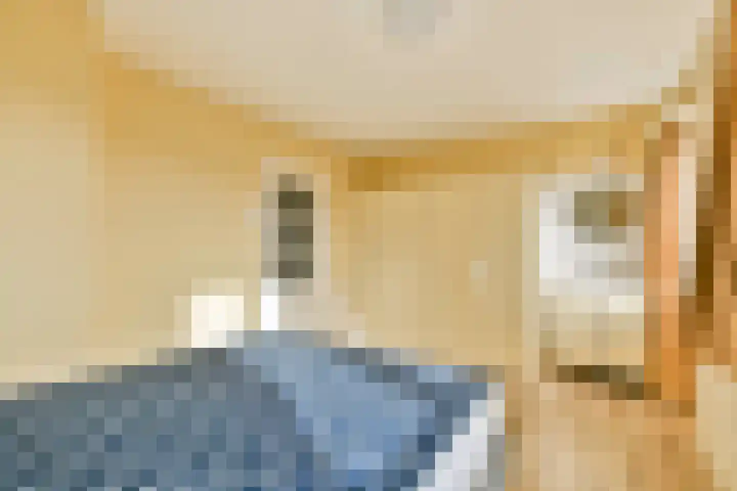 Wijk aan Zeeërweg 45 IJmuiden thumbnail 4
