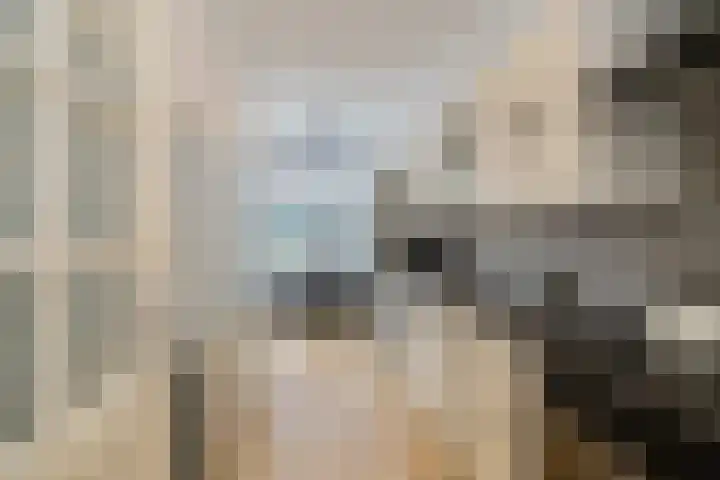 Wijk aan Zeeërweg 87 IJmuiden thumbnail 18