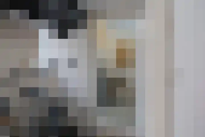 Wijk aan Zeeërweg 87 IJmuiden thumbnail 27