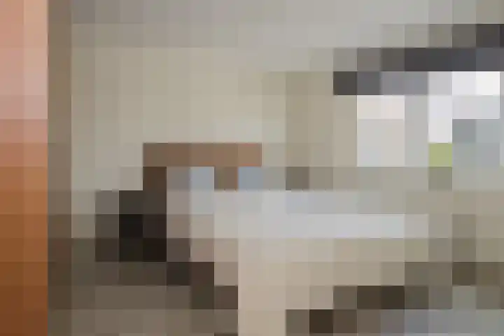 Wijk aan Zeeërweg 87 IJmuiden thumbnail 37