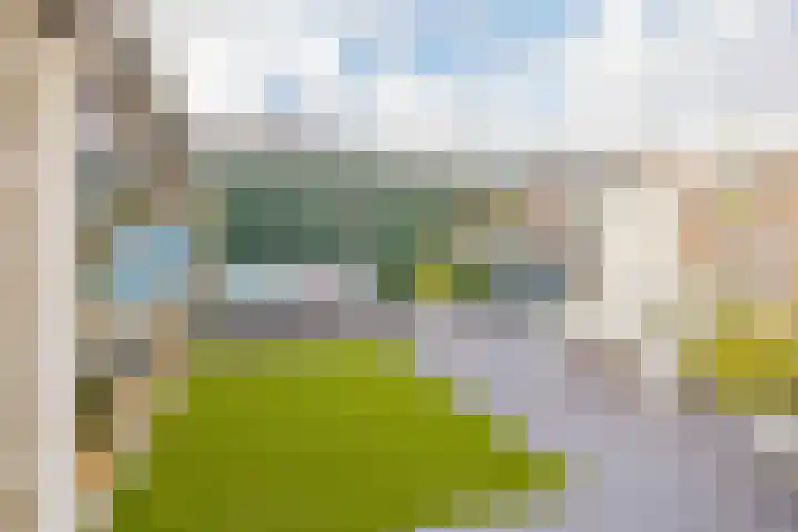 Wijk aan Zeeërweg 87 IJmuiden thumbnail 4