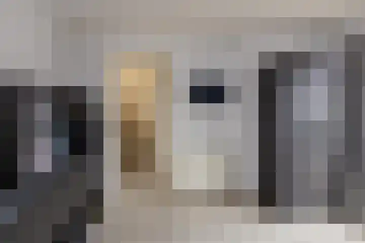 Wijk aan Zeeërweg 87 IJmuiden thumbnail 44