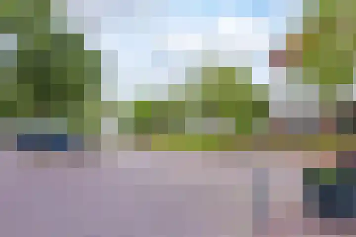 Wijk aan Zeeërweg 87 IJmuiden thumbnail 5